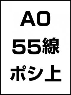 A0・55線・ポシ・膜面上の商品画像