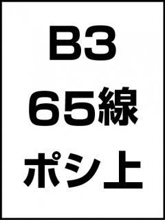 B3・65線・ポシ・膜面上の商品画像