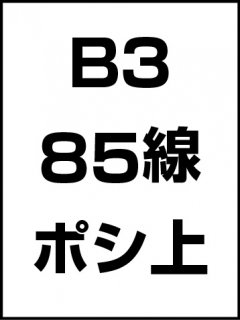 B3・85線・ポシ・膜面上の商品画像