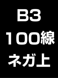 B3・100線・ネガ・膜面上の商品画像