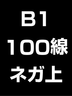 B1・100線・ネガ・膜面上の商品画像