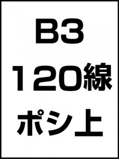 B3・120線・ポシ・膜面上の商品画像
