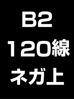 B2・120線・ネガ・膜面上の商品画像