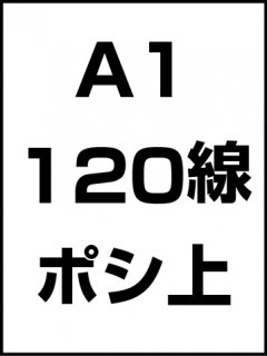 A1・120線・ポシ・膜面上の商品画像