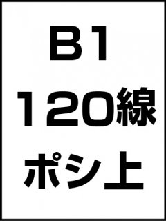 B1・120線・ポシ・膜面上の商品画像