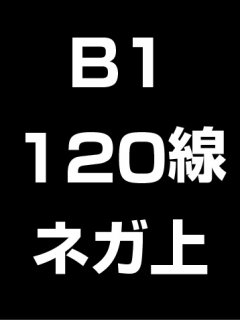 B1・120線・ネガ・膜面上の商品画像