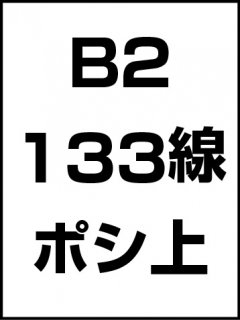 B2・133線・ポシ・膜面上の商品画像
