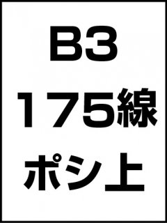 B3・175線・ポシ・膜面上の商品画像