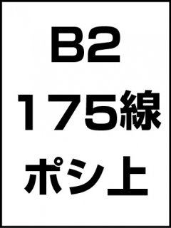 B2・175線・ポシ・膜面上の商品画像