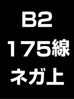 B2・175線・ネガ・膜面上の商品画像