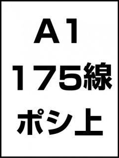 A1175ݥ̾ξʲ