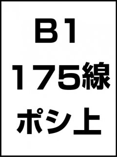 B1175ݥ̾ξʲ