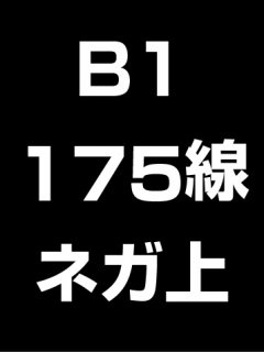 B1・175線・ネガ・膜面上の商品画像