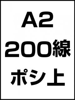 A2200ݥ̾ξʲ