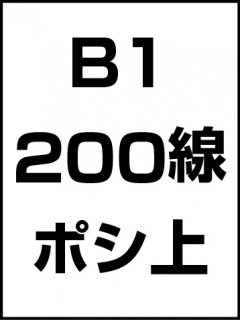 B1・200線・ポシ・膜面上の商品画像