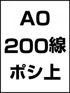 A0・200線・ポシ・膜面上の商品画像