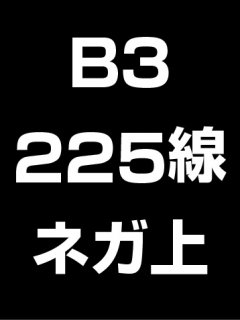 B3・225線・ネガ・膜面上の商品画像