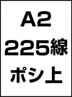 A2・225線・ポシ・膜面上の商品画像