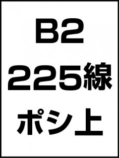 B2・225線・ポシ・膜面上の商品画像