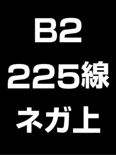 B2・225線・ネガ・膜面上の商品画像