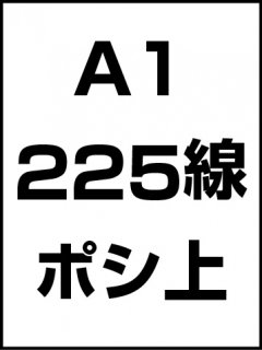 A1・225線・ポシ・膜面上の商品画像