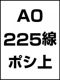 A0・225線・ポシ・膜面上の商品画像