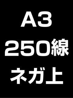 A3250ͥ̾ξʲ