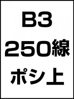 B3・250線・ポシ・膜面上の商品画像