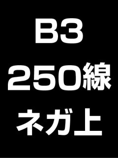 B3・250線・ネガ・膜面上の商品画像
