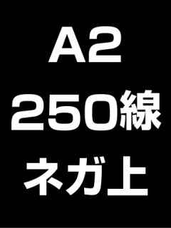 A2・250線・ネガ・膜面上の商品画像