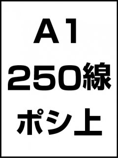 A1・250線・ポシ・膜面上の商品画像