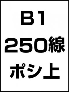 B1250ݥ̾ξʲ