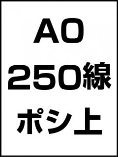 A0・250線・ポシ・膜面上の商品画像