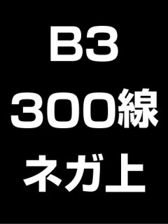 B3・300線・ネガ・膜面上の商品画像