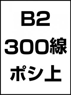 B2・300線・ポシ・膜面上の商品画像