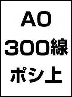 A0300ݥ̾ξʲ