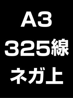 A3325ͥ̾ξʲ