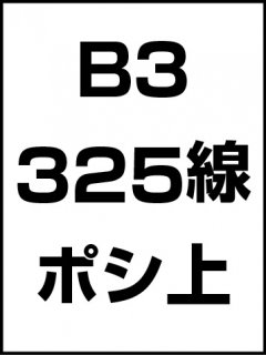 B3・325線・ポシ・膜面上の商品画像