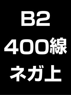 B2・400線・ネガ・膜面上の商品画像