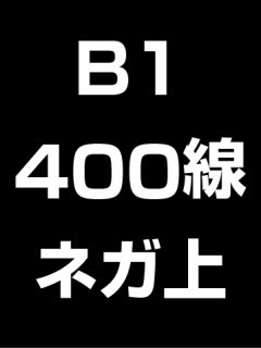 B1・400線・ネガ・膜面上の商品画像