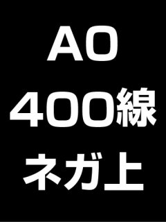A0・400線・ネガ・膜面上の商品画像