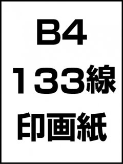 B4133ξʲ