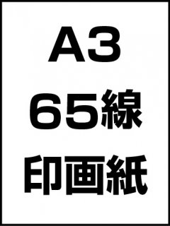 A3・65線・印画紙の商品画像