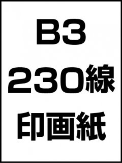 B3・230線・印画紙の商品画像