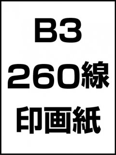 B3・260線・印画紙の商品画像