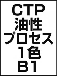 CTPץ1B1ξʲ