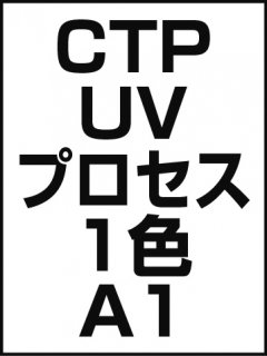 CTP・UV・プロセス・1色・A1の商品画像