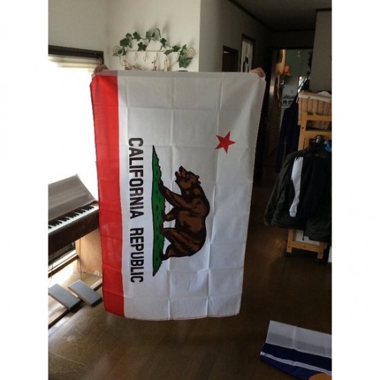 California Flag եå