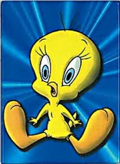 トゥウィーティー マグネット A ルーニーテューンズ ちゃんぷ トゥウィーティー マグネット A ルーニーテューンズ ちゃんぷ