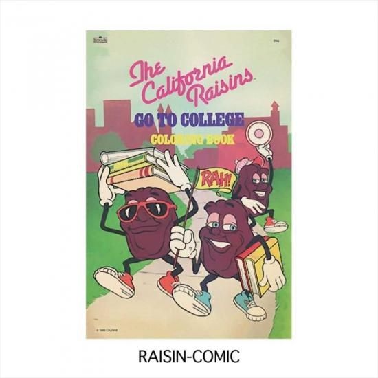 RAISINCOMIC ơ ݥ S SIZE